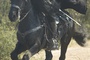 antonio-banderas-a-cheval-jpg