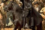 zorro-jpg