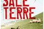 Affiche du film Cette sale terre