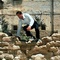 sylvester stallone en pleine action - Mafia Love 