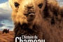 Affiche du film L'Histoire du chameau qui pleure