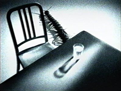 photo de la cassette le cercle