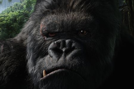 king kong - King Kong