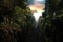 photo du film king kong