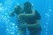 jessica alba et paul walker sous l eau
