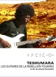Affiche du film Teshumara, les guitares de la rébellion touareg