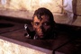 rowan-atkinson-dans-le-caca-jpg