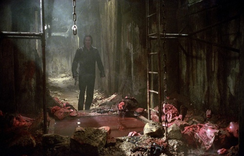 shane brolly devant un carnage