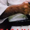 Affiche du film Tatami - Tatami 