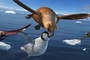 oiseau-vs-pingouin-jpg