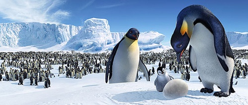 papa-pingouin-regardant-son-oeuf-jpg