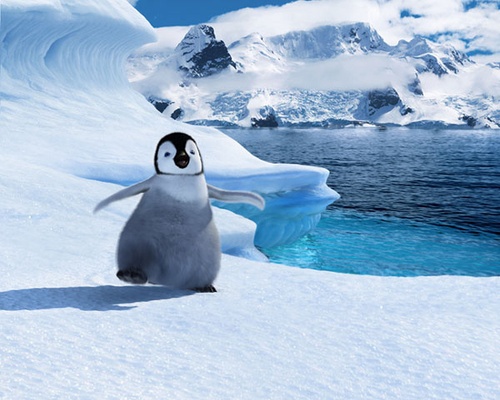 un-petit-pingouin-jpg
