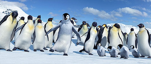 un-pingouin-danseur-jpg