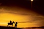 Affiche du film La Nativité