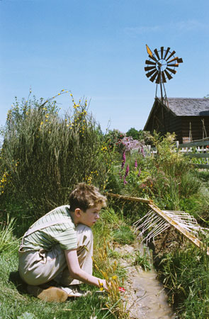 freddie highmore dans l herbe