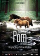 Affiche du film Pom le poulain