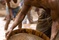 Djimon Hounsou 2 - Blood Diamond