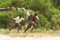 Djimon Hounsou 7 - Blood Diamond