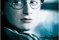 affiche harry