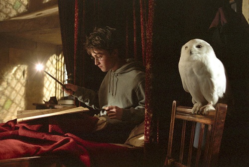 harr potter et le prisonnier d azkaban 24 - Harry Potter et le prisonnier d'Azkaban