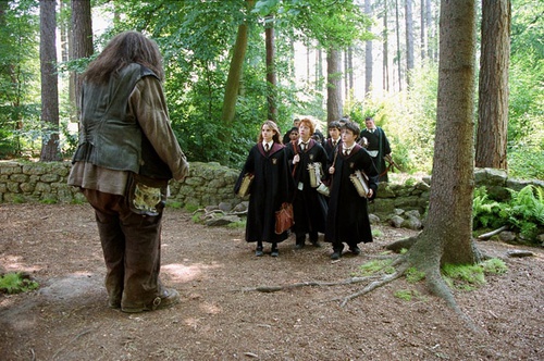 harr potter et le prisonnier d azkaban 31 - Harry Potter et le prisonnier d'Azkaban