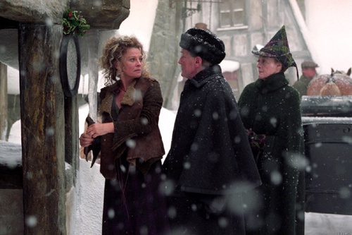 harr potter et le prisonnier d azkaban 48 - Harry Potter et le prisonnier d'Azkaban