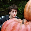 harr potter et le prisonnier d azkaban 64 - Harry Potter et le prisonnier d'Azkaban