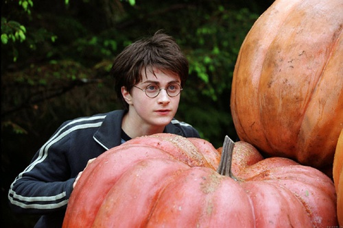 harr potter et le prisonnier d azkaban 64 - Harry Potter et le prisonnier d'Azkaban