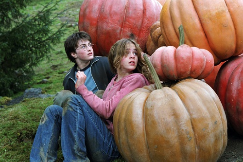harr potter et le prisonnier d azkaban 69 - Harry Potter et le prisonnier d'Azkaban
