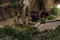 harr potter et le prisonnier d azkaban 80 - Harry Potter et le prisonnier d'Azkaban
