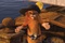 shrek le troisieme 13 - Shrek le troisième