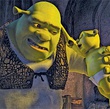 shrek le troisieme 62 - Shrek le troisième