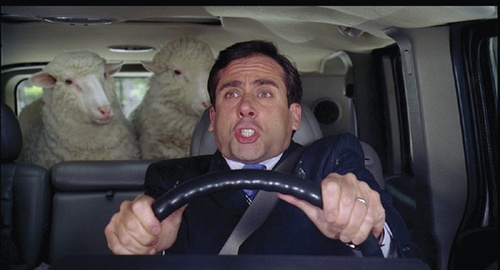 Steve Carell 14 - Evan Tout Puissant