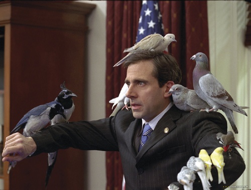 Steve Carell 9 - Evan Tout Puissant