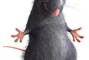 ratatouille 03 - Ratatouille