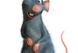ratatouille 05 - Ratatouille