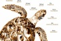 Affiche du film Loggerheads