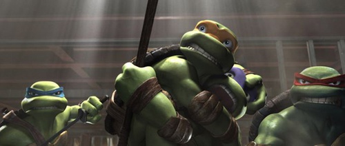 les-tortues-se-battent-jpg