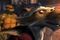 splinter-jpg