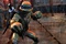 tortues ninja 11 - TMNT - Les Tortues Ninja