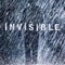 Affiche du film Invisible - Invisible 