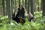 ben barnes 5 - Le Monde de Narnia : chapitre 2 - Prince Caspian