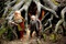 peter dinklage warwick davis