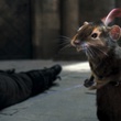 photo du film narnia 2 2