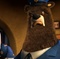le chef grizzly - La Véritable Histoire du Petit Chaperon Rouge 
