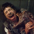 un chien zombie