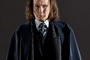 Bill Nighy est Rufus Scrimgeour