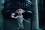 dobby elfe de maison