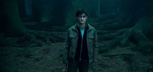 harry potter seul dans les bois