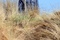 tournage 2 d harry potter et les reliques de la mort part 1